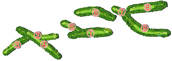 コース全体俯瞰図