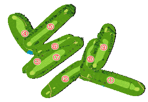 コース全体俯瞰図