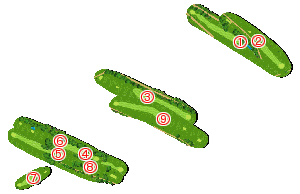 コース全体俯瞰図