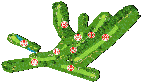 コース全体俯瞰図