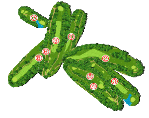 コース全体俯瞰図