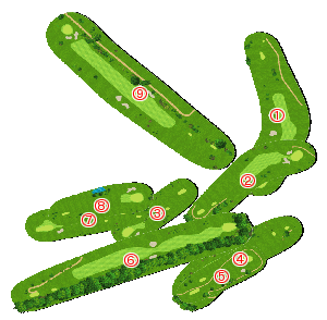 コース全体俯瞰図