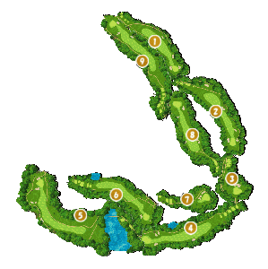 コース全体俯瞰図