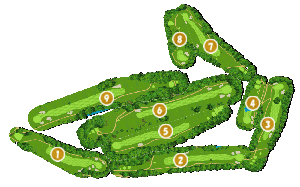 コース全体俯瞰図