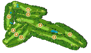 コース全体俯瞰図