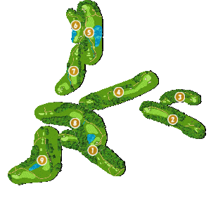 コース全体俯瞰図