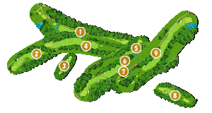 コース全体俯瞰図