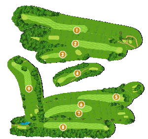 コース全体俯瞰図