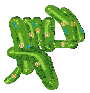 コース全体俯瞰図