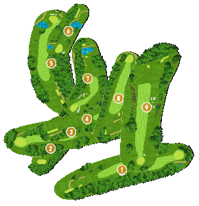 コース全体俯瞰図