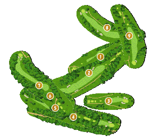 コース全体俯瞰図