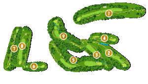 コース全体俯瞰図