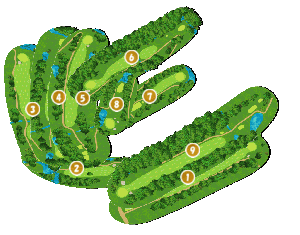 コース全体俯瞰図