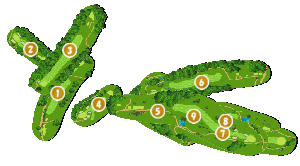 コース全体俯瞰図