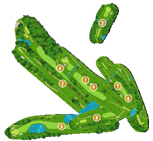 コース全体俯瞰図