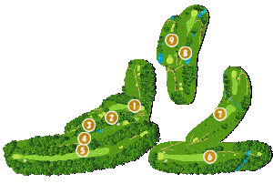 コース全体俯瞰図