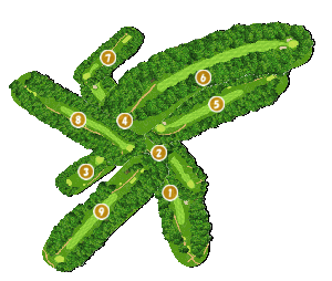 コース全体俯瞰図