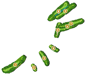 コース全体俯瞰図