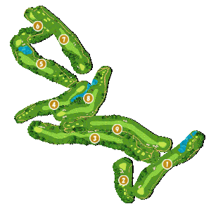 コース全体俯瞰図