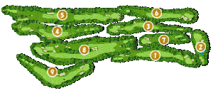 コース全体俯瞰図