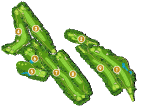 コース全体俯瞰図