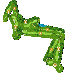 コース全体俯瞰図