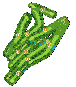 コース全体俯瞰図