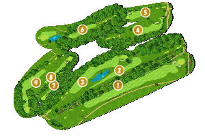 コース全体俯瞰図