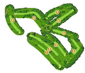 コース全体俯瞰図