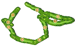 コース全体俯瞰図