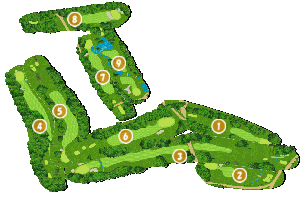 コース全体俯瞰図