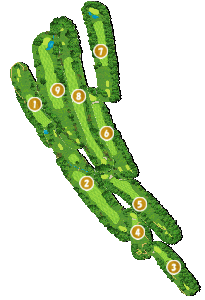 コース全体俯瞰図