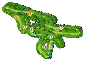 コース全体俯瞰図