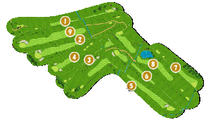 コース全体俯瞰図