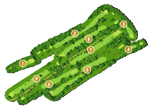 コース全体俯瞰図