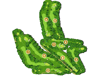 コース全体俯瞰図