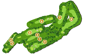 コース全体俯瞰図