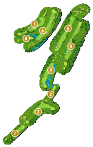 コース全体俯瞰図