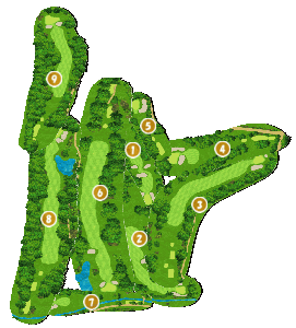 コース全体俯瞰図