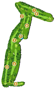 コース全体俯瞰図