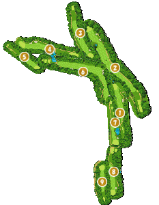 コース全体俯瞰図