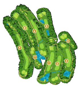 コース全体俯瞰図