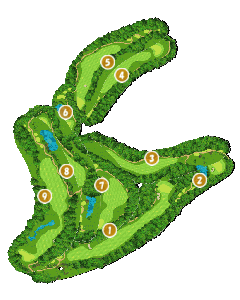 コース全体俯瞰図