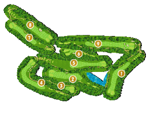 コース全体俯瞰図