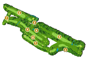 コース全体俯瞰図