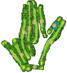 コース全体俯瞰図