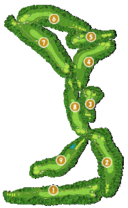 コース全体俯瞰図