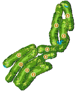 コース全体俯瞰図