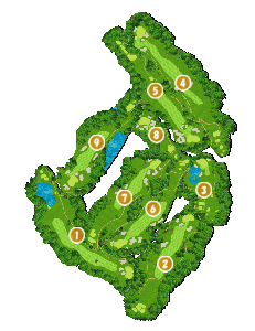 コース全体俯瞰図