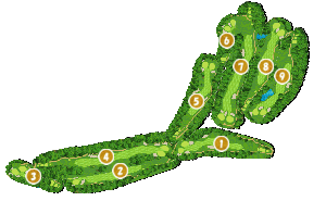 コース全体俯瞰図